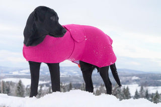 Lanullva Hundedekken Ull, Arktis Blå-Lanullva