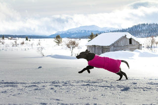 Lanullva Hundedekken Ull, Fuchsia-Lanullva